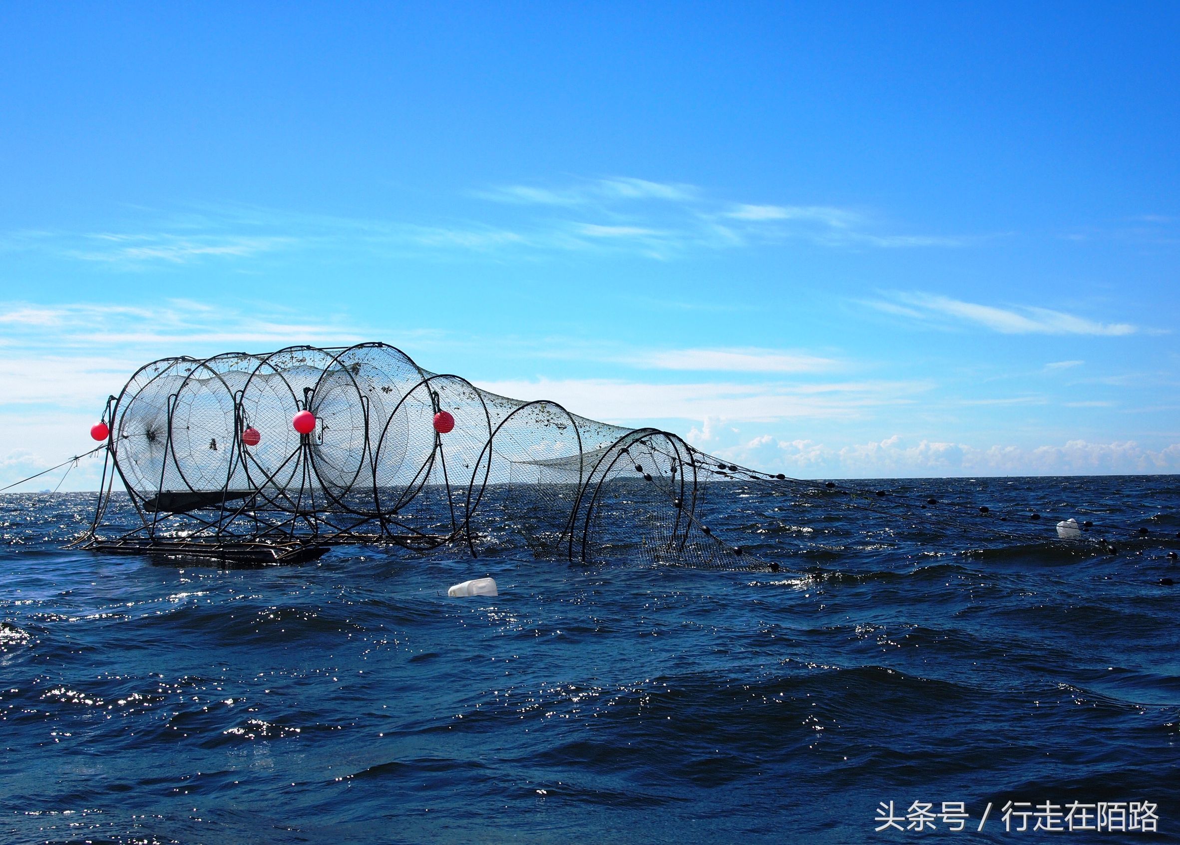 将渔民当成梦想职业？因为收入高假期多，千万欧元资产很常见