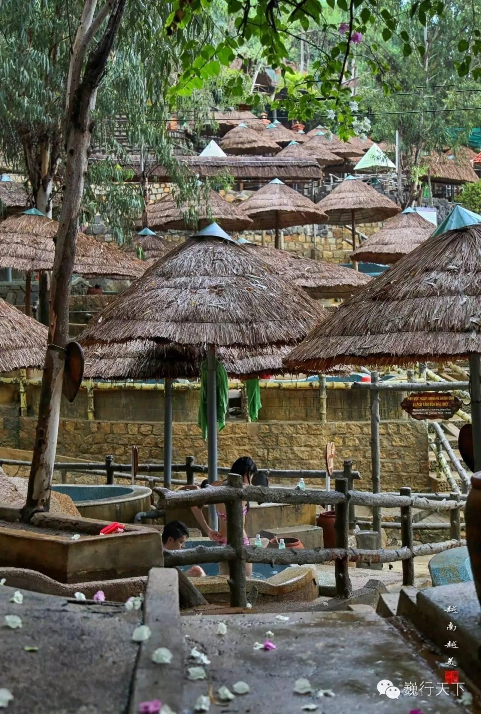 越南芽庄泥浆浴在哪个岛上,游越南芽庄享受泥浆浴