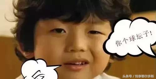 鄂尔多斯人、巴盟人、包头呼市人说话句句不离“球”的种种含义！