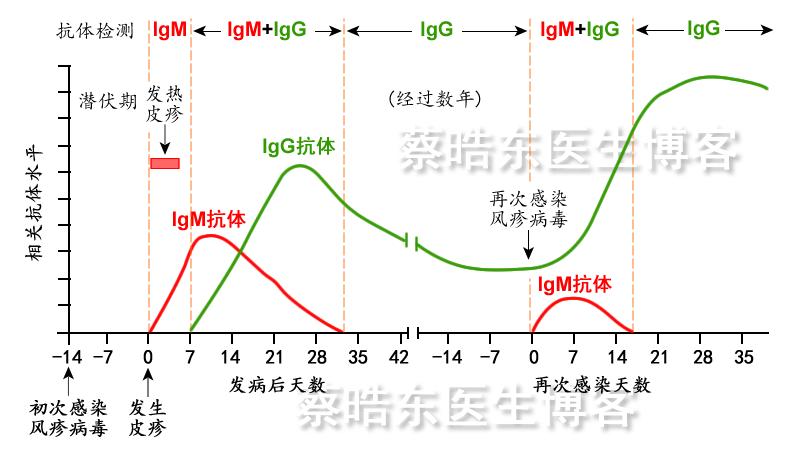 抗风疹病毒igm抗体阳性,孕妇风疹病毒抗体igg阳性