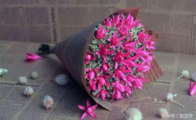 过去一周，这些致富锦囊请拿走不谢！