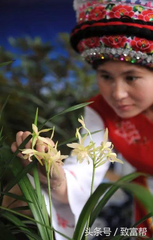 过去一周，这些致富锦囊请拿走不谢！