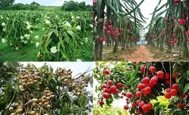 巽寮湾周边温泉,惠州巽寮湾海滨温泉度假村