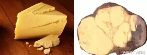 舌尖上的中医药论文,舌尖上的医疗