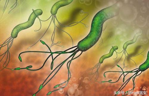 入职体检幽门螺旋杆菌影响入职么,体检哪项指标可以看幽门螺旋杆菌