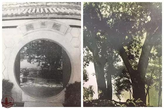 回忆江阴的一切,寻找江阴记忆