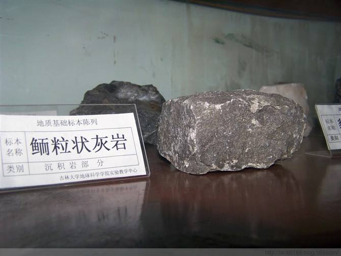 岩石由什么构成？今天我们来聊一聊