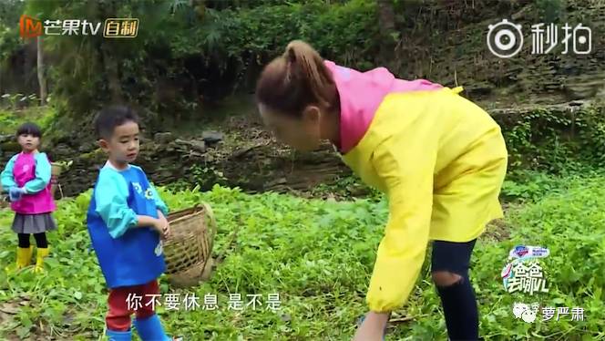 应采儿jasper为陈小春应援 (jasper看应采儿亲陈小春的眼神)