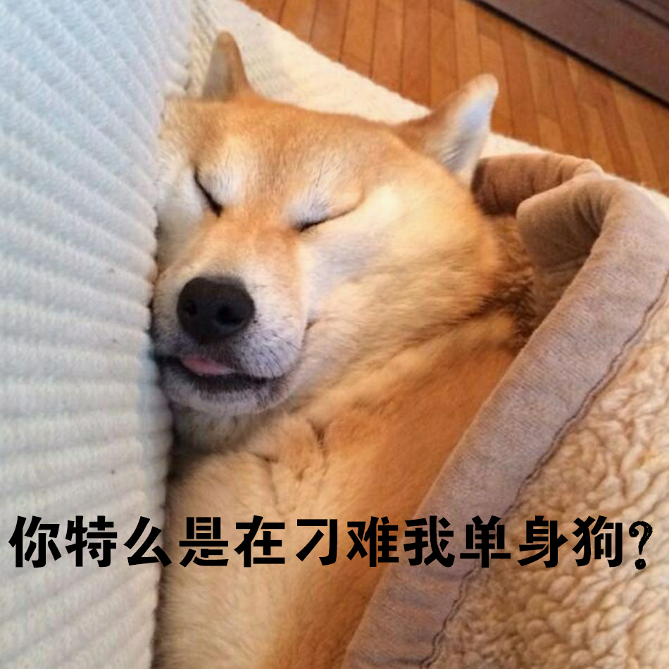 妹子参加线下比赛惨遭16：0吊打！玩CSGO的难道都找不到女朋友？