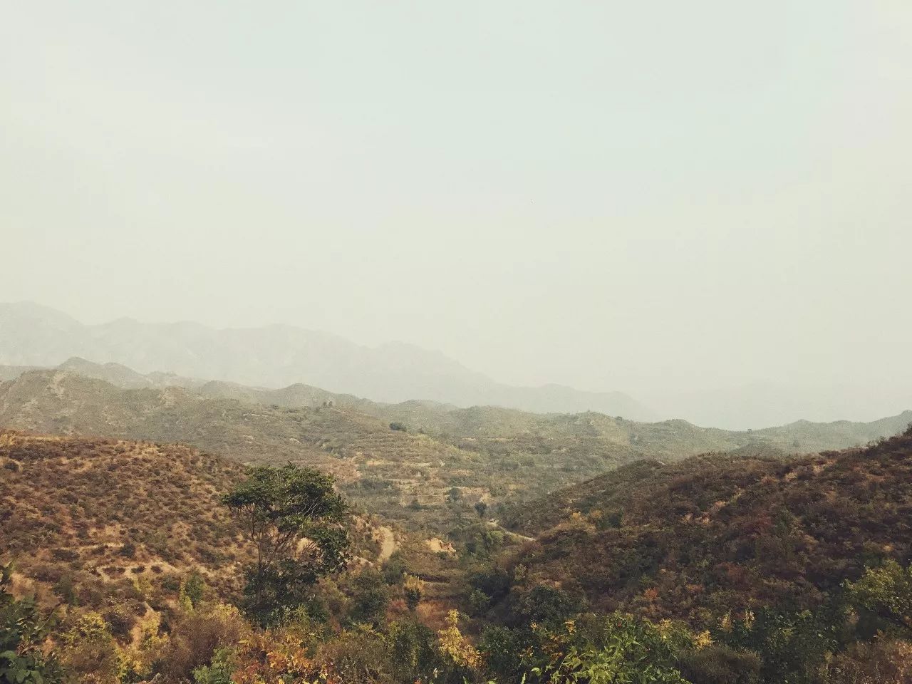 手机摄影作品赏析,手机摄影作品也可以美不胜收