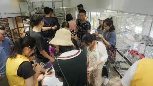 独家｜从源头开始，这家公司要用认养帮助千万宠主拥有爱宠