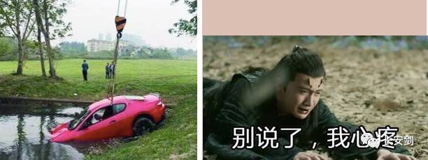 「三分钟法治新闻全知道」安倍“日式”款待讨好伊万卡后，特朗普却说了这样一句话……