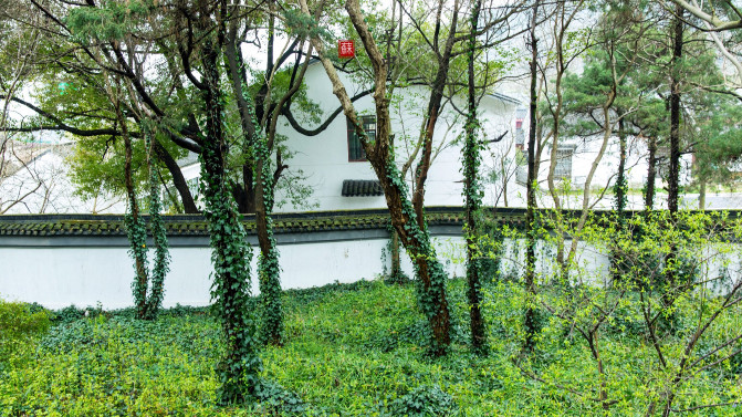 苏州旅游攻略两日游自由行,苏州旅游攻略2-3天自由行