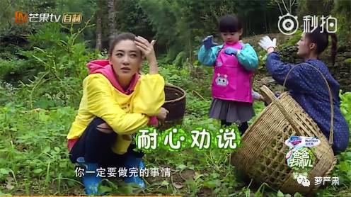 应采儿jasper为陈小春应援 (jasper看应采儿亲陈小春的眼神)