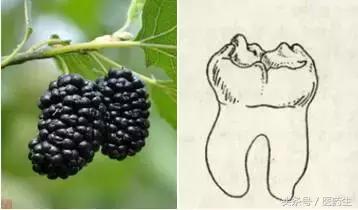 舌尖上的中医药论文,舌尖上的医疗