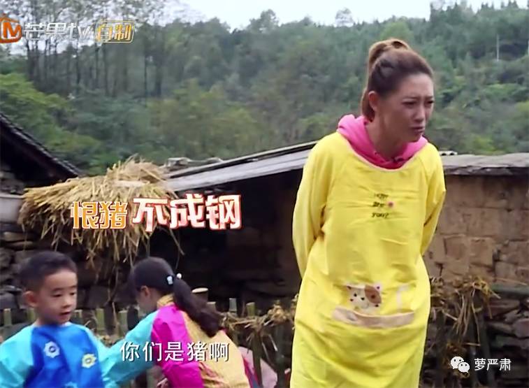 应采儿jasper为陈小春应援 (jasper看应采儿亲陈小春的眼神)