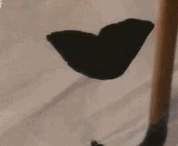 启功自作诗260首带释文,启功题溥儒先生自作诗卷