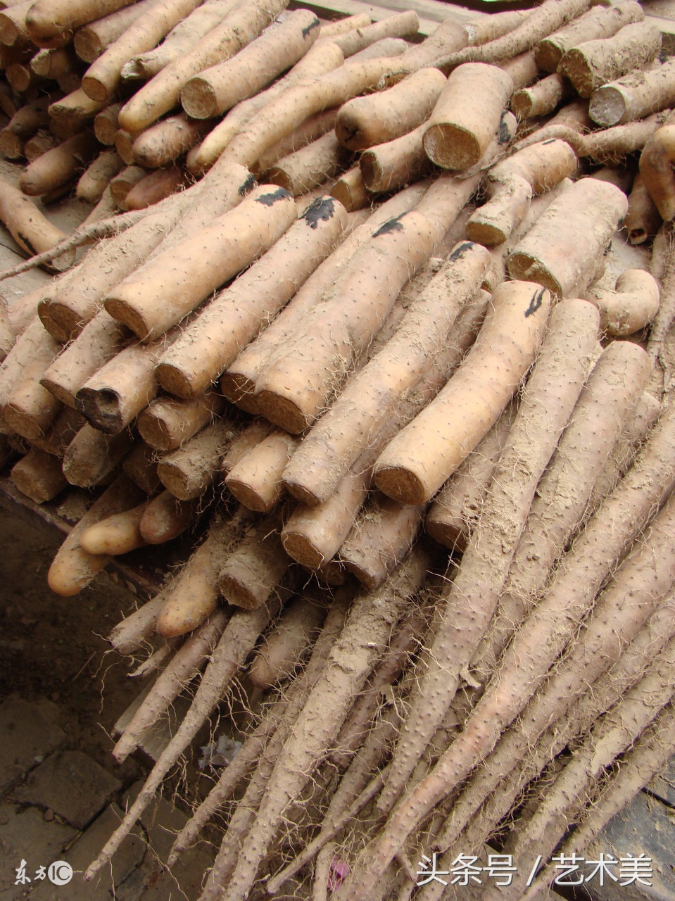 切山药手痒怎么快速止痒,切完山药手痒教你两招轻松解决