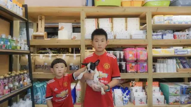 独家｜从源头开始，这家公司要用认养帮助千万宠主拥有爱宠