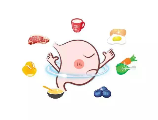 肠胃功能紊乱最快的中医恢复办法,肠胃不好经常拉肚子中医怎么调理