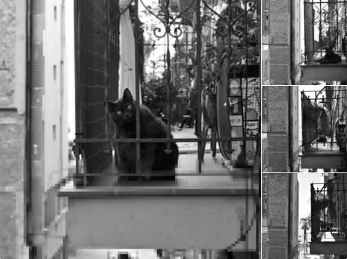 困扰他几十年的哮喘和过敏杂症，在他纯素饮食后彻底消失！