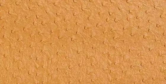 鸵鸟皮衣护理,鸵鸟皮的护理方法和关注事项