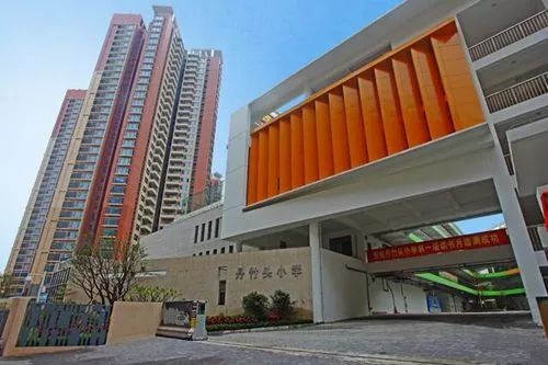 四百年前绿竹变丹竹——丹竹头