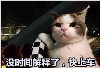 老司机来啦！CAD工具+海量CAD图纸、视频，你还不上车？