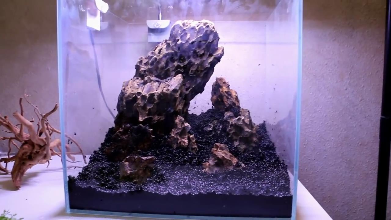 小型鱼缸草缸造景效果图,简单的草缸造景制作