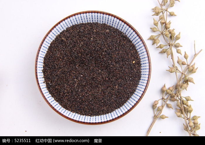 车前子的叶子的作用,车前草是一种难得的中草药