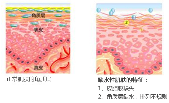 激光对皮肤有哪些危害,激光对细胞的影响