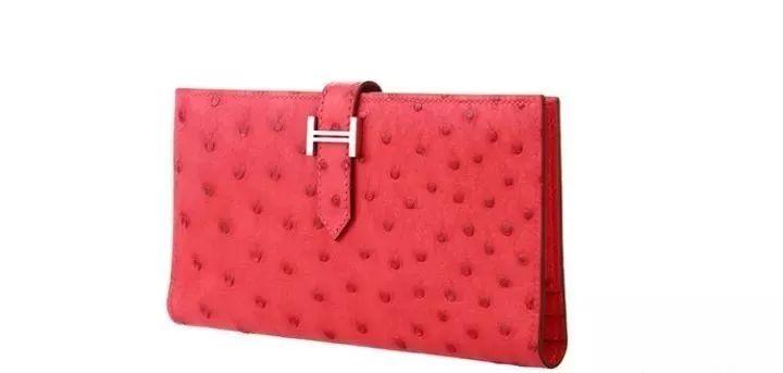 鸵鸟皮衣护理,鸵鸟皮的护理方法和关注事项