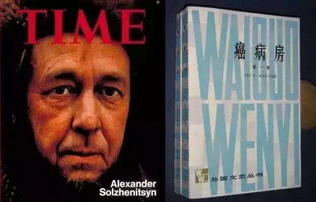 白桦茸是何方神圣？比灵芝还神奇的“森林钻石”!