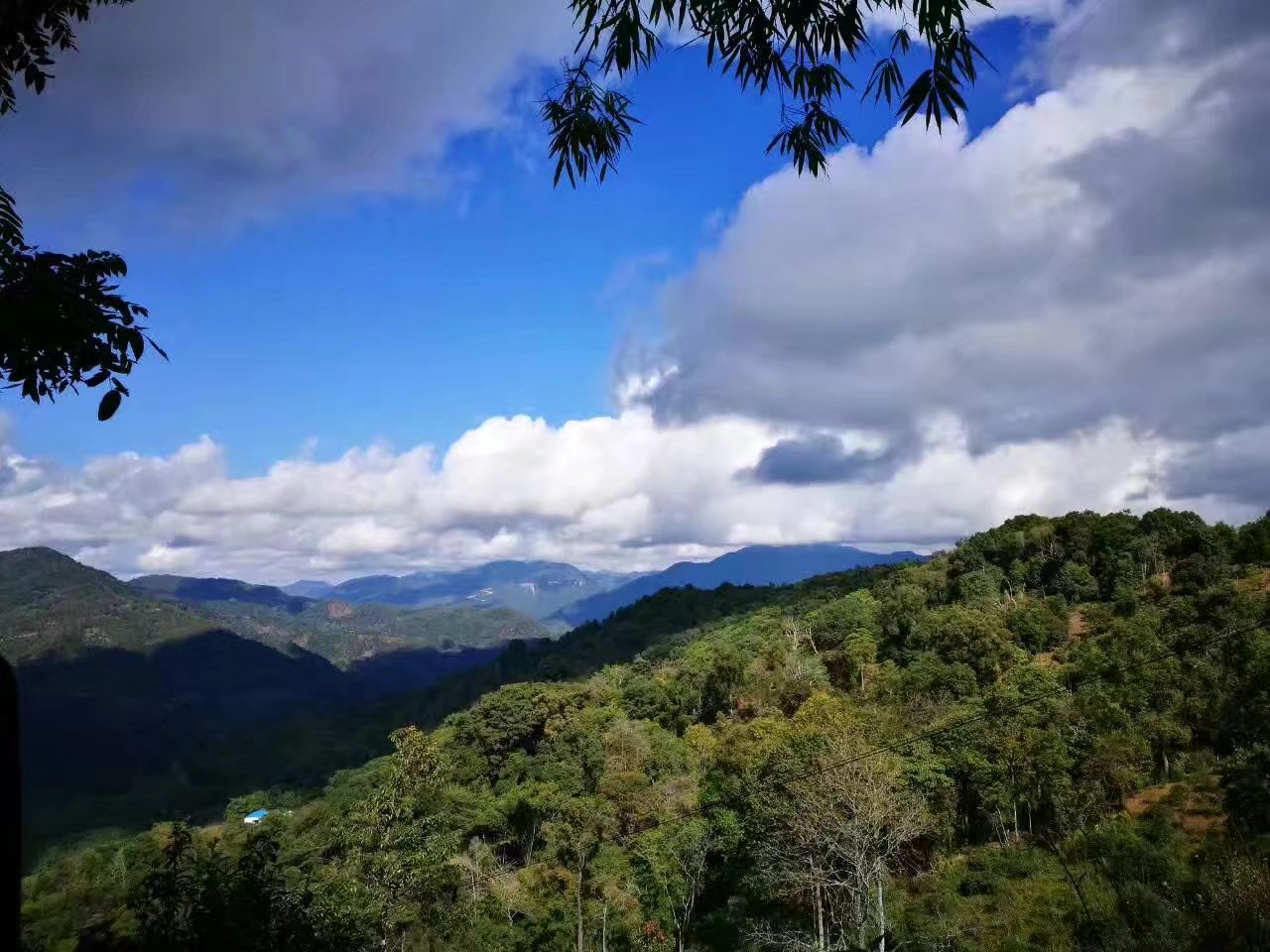 普洱七大茶山简介资料大全及图片,茶山介绍之新六大普洱茶山