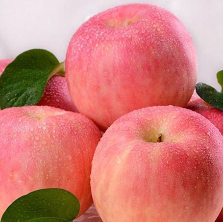 孕期各阶段胎儿发育水果图,冬季初孕期适合吃什么水果最好