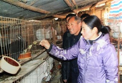 农村2023年有哪些项目可以致富,农村创业10大经典赚钱方式