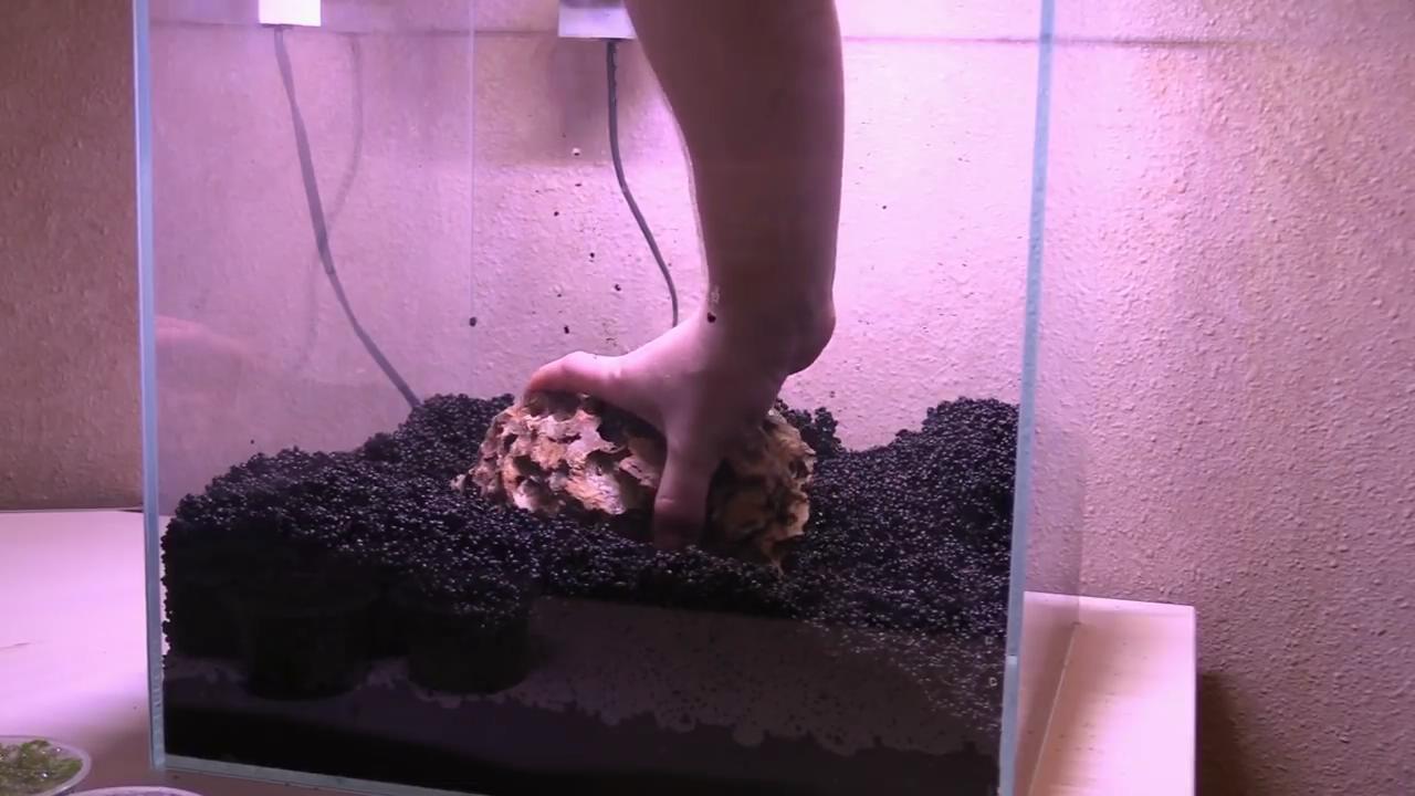 小型鱼缸草缸造景效果图,简单的草缸造景制作