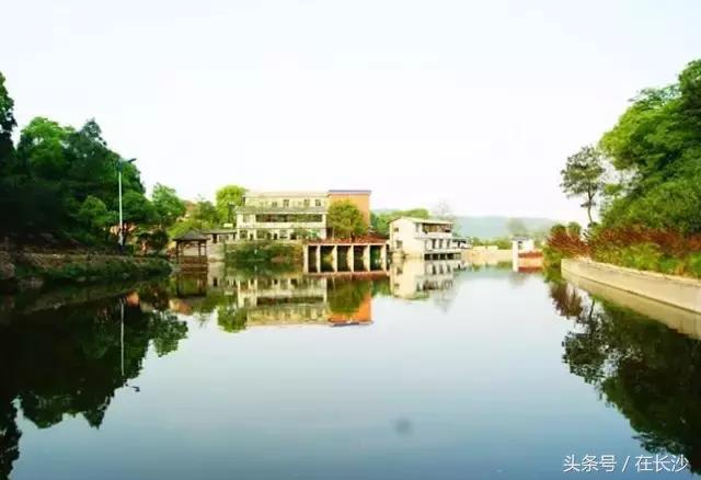 农家乐游玩向往的生活,向往的生活杭州余杭农家乐