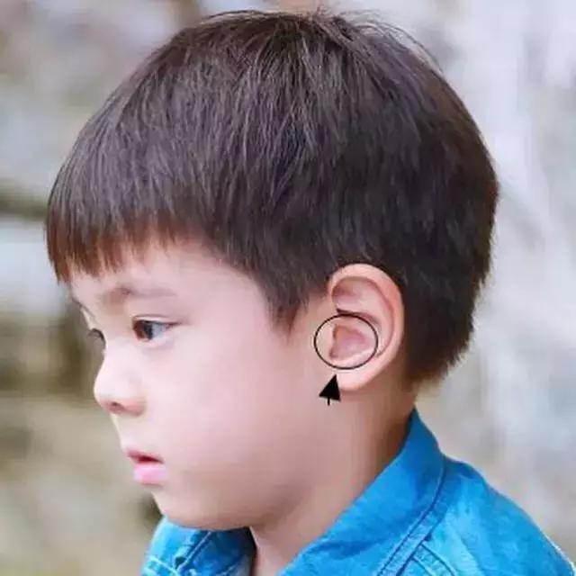 嗯哼小时候陈小春儿子,嗯哼的小时候的照片大全