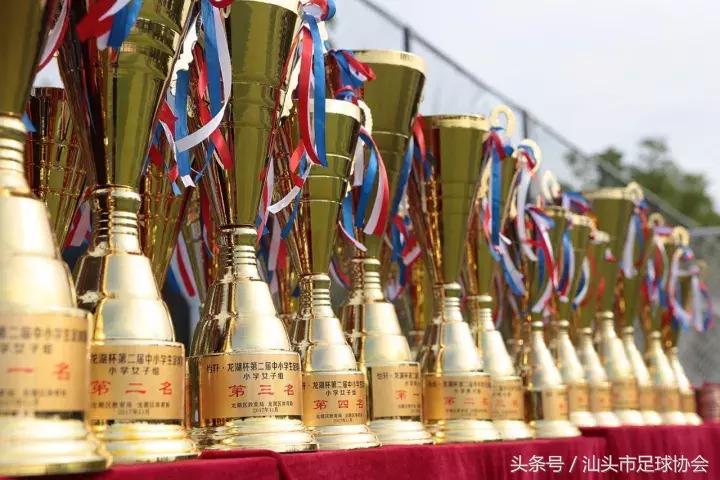 「怡轩龙湖杯闭幕」少年强则国强，强体魄、赢聪颖