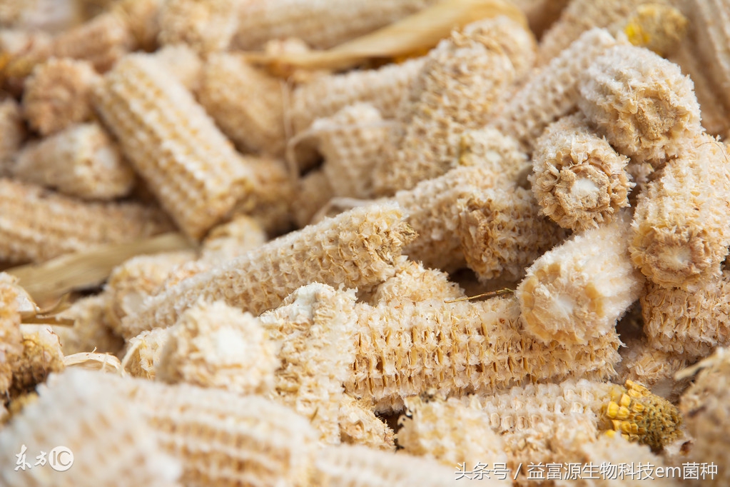 用em菌发酵麦麸,用EM菌种发酵厨余水肥