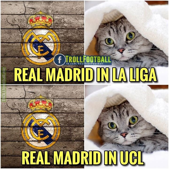 蓝月段子手视觉盛宴合集,蓝月段子手21-30集