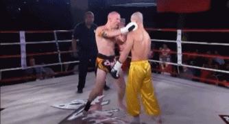 一龙和刘星君,一龙刘星君百科