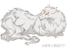 夏目友人帐3,夏目友人帐解说