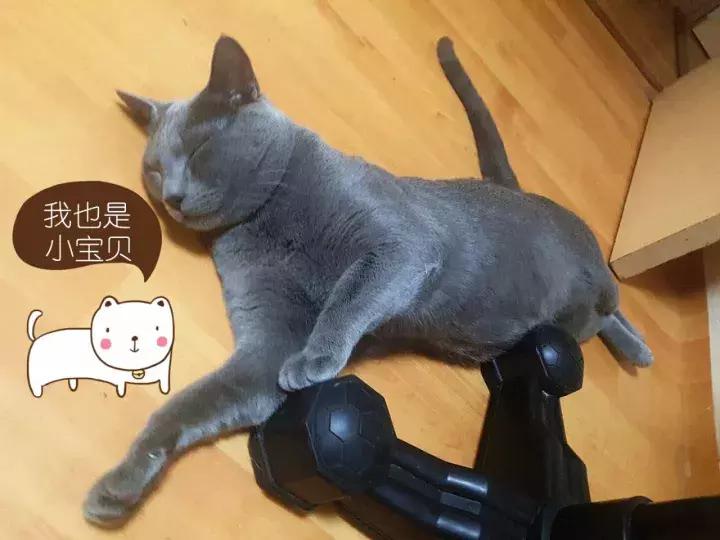 期待今年圣诞礼物,悦诗风吟圣诞节款