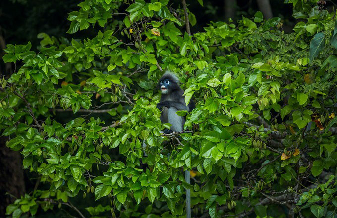 泰国甲米9天自由行 (泰国甲米半岛海上一日游)