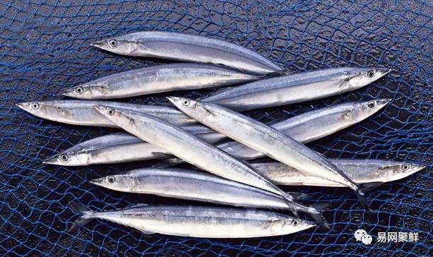 水产市场常见的鱼,中国进口水产品排行榜