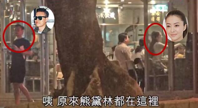 熊黛林回应奉子成婚,熊黛林公布怀孕喜讯晒照小腹微凸