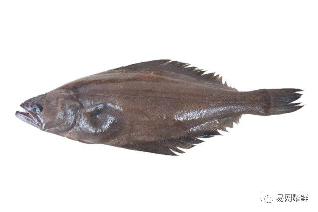 水产市场常见的鱼,中国进口水产品排行榜