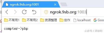 ngrok内网穿透教程,ngrok内网服务搭建